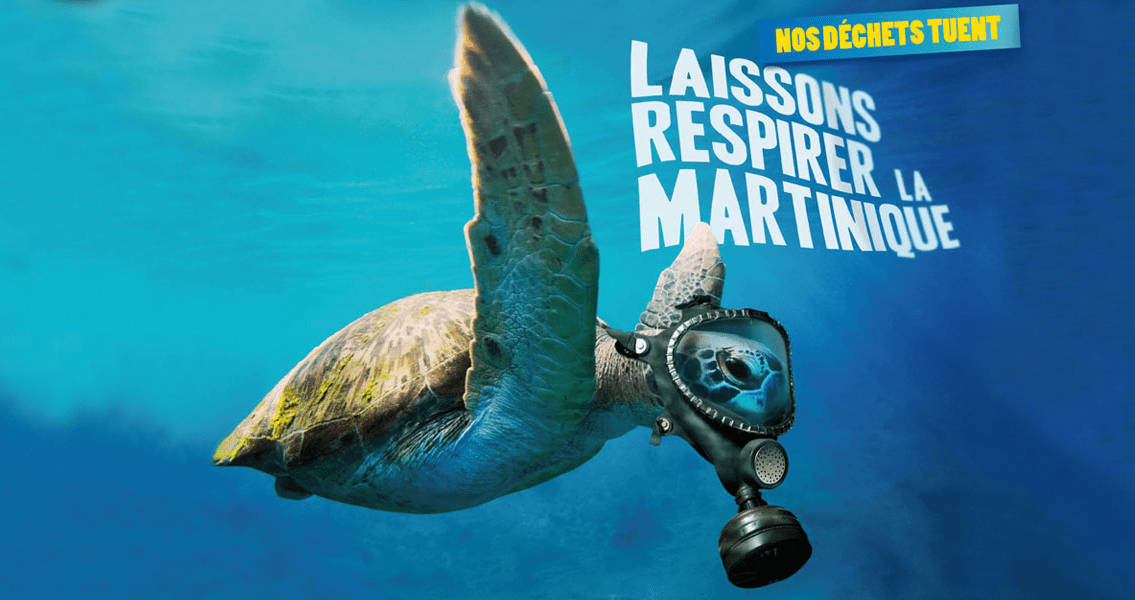 Laissons respirer la Martinique, tortue dans l'eau avec masque à gaz